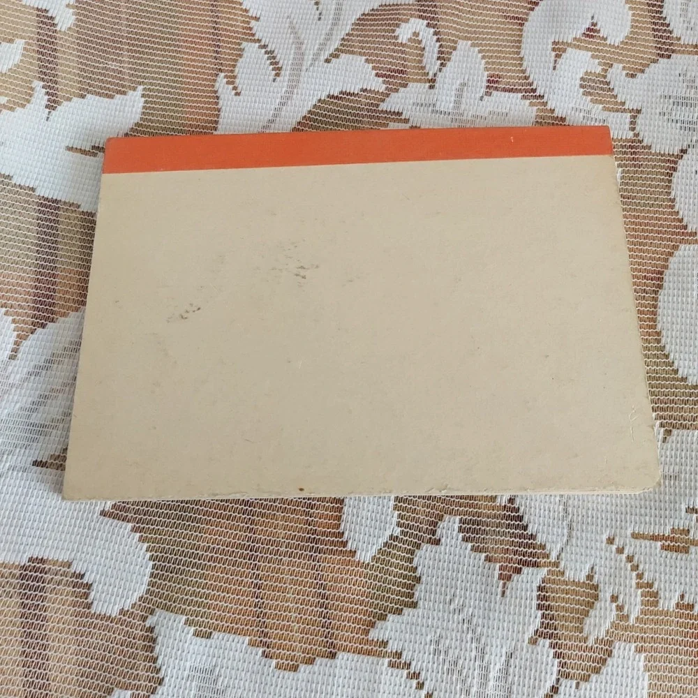 Vintage Pratt & Austin Penny Wise Post Cards Fruit Illustration 14 Count Booklet